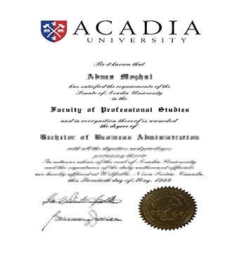 Where To Buy The Best Quality Replica Diplomas from