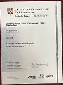 Yeah! I Moved to UK with a fake ESOL certificate(En