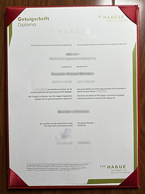 Fake sample of De Haagse Hogeschool diploma, buy Bs