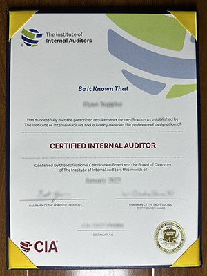 Where can i buy a fake Certified Internal Auditor c