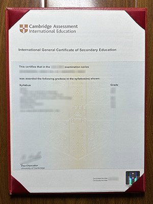 The best reasons to make a Cambridge IGCSE certific