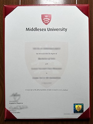 How can i obtain a 100% copy Middlesex University d