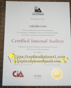 How Much Does A Fake Certified Internal Auditor (CI